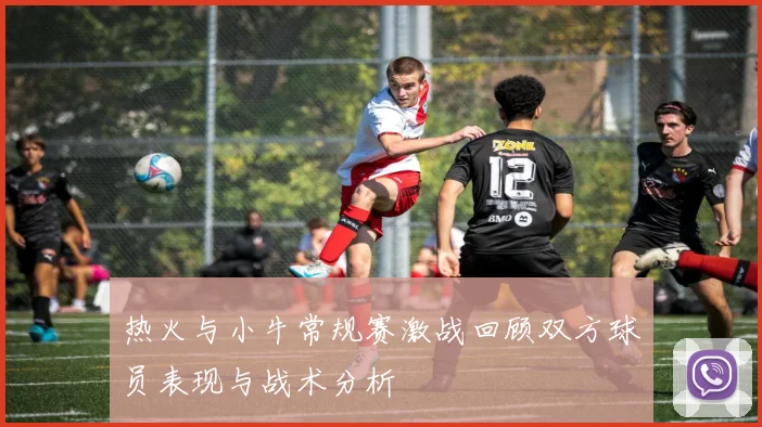 热火与小牛常规赛激战回顾双方球员表现与战术分析